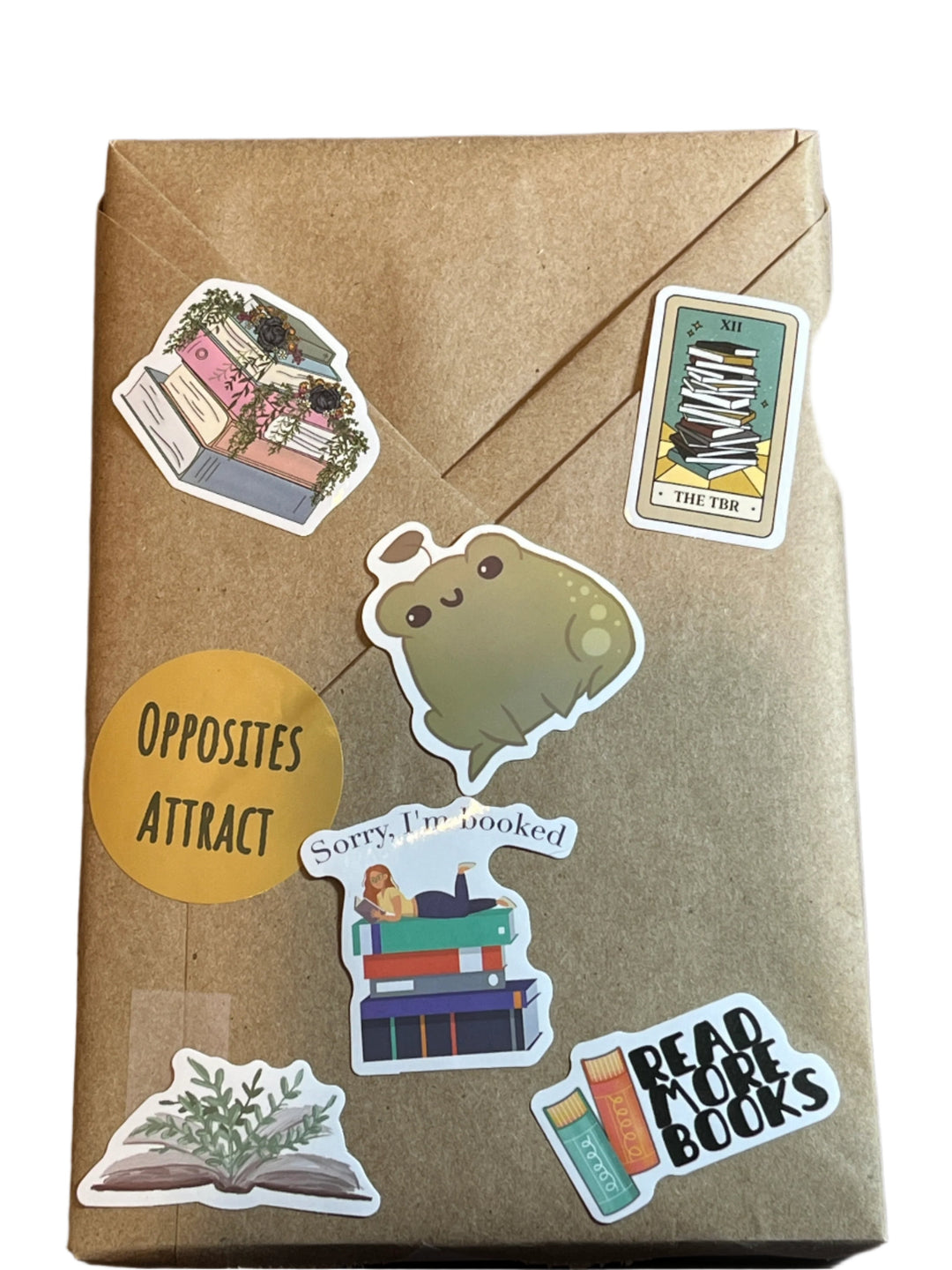 Basic BDWAB, Blind Date With A Book, New Paperback Books