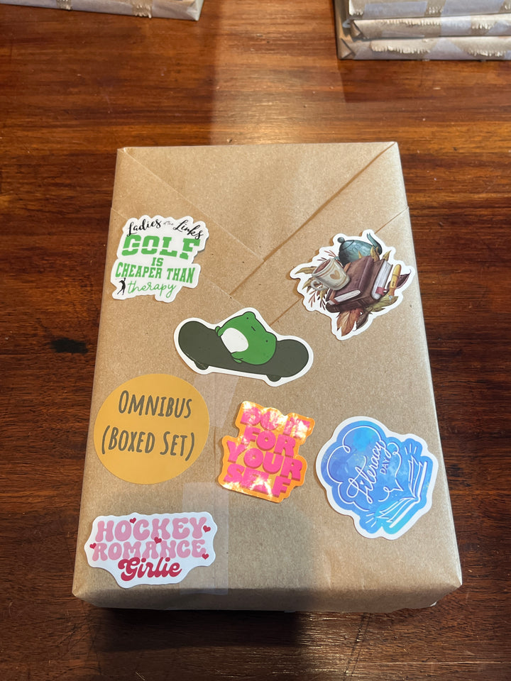 Basic BDWAB, Blind Date With A Book, New Paperback Books