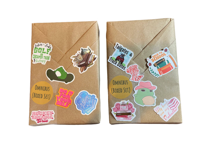 Basic BDWAB, Blind Date With A Book, New Paperback Books