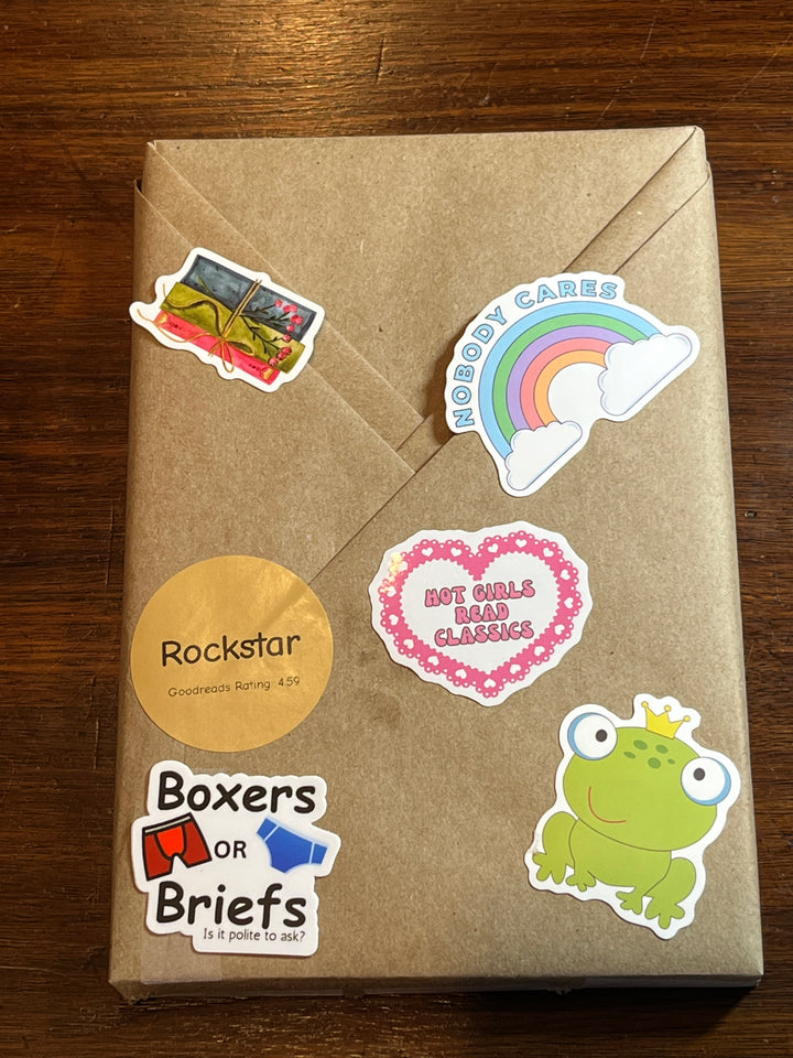 Basic BDWAB, Blind Date With A Book, New Paperback Books