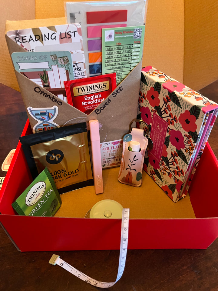 Small Book Box, BDWAB Thick Book, Blind Date With A Book, New Wrapped Paperback, Sm Book Box