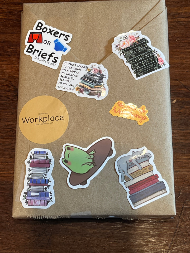 Basic BDWAB, Blind Date With A Book, New Paperback Books